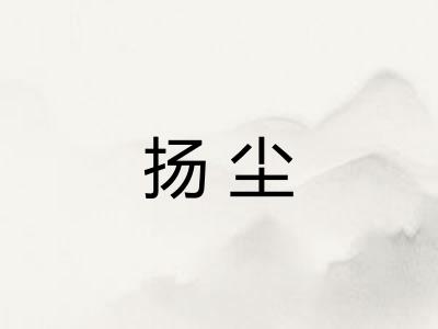 扬尘