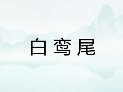 白鸾尾