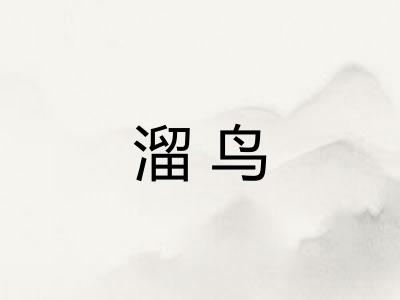 溜鸟