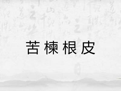 苦楝根皮