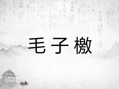 毛子檄