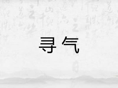 寻气