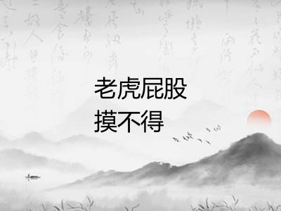 老虎屁股摸不得