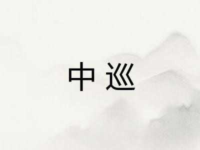 中巡