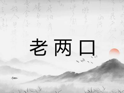 老两口