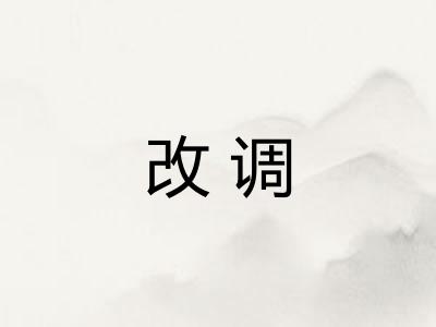 改调