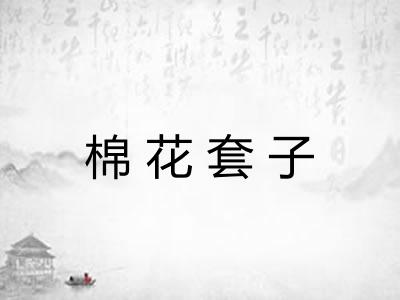 棉花套子