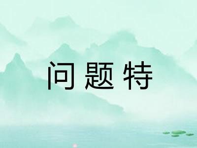问题特