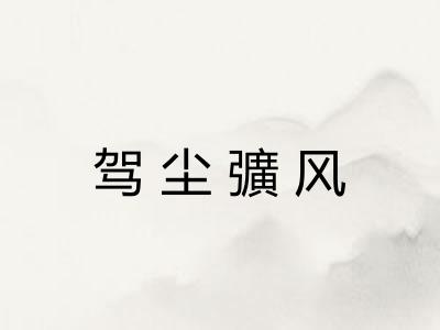 驾尘彍风