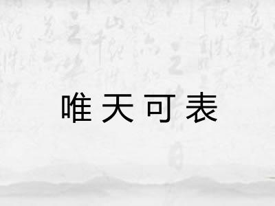 唯天可表
