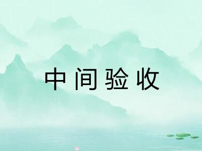 中间验收