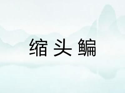 缩头鳊