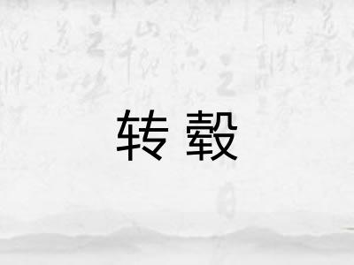 转毂