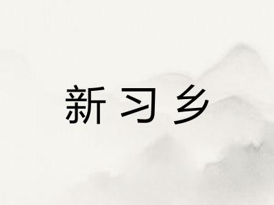 新习乡