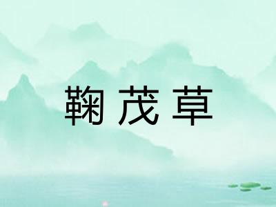 鞠茂草