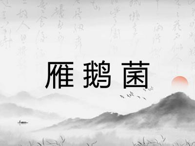 雁鹅菌
