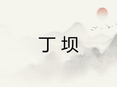丁坝