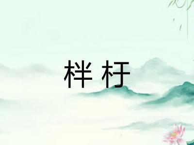 柈杅