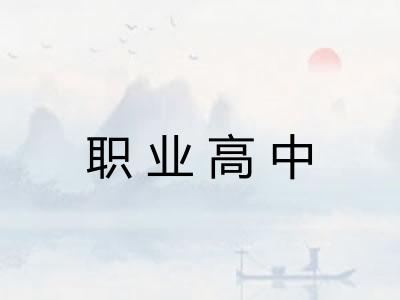 职业高中
