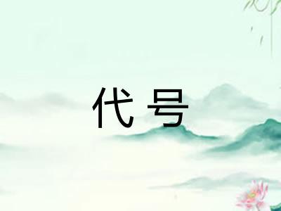 代号