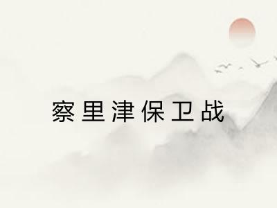 察里津保卫战