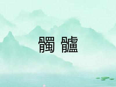 髑髗