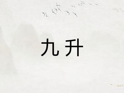 九升