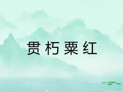 贯朽粟红