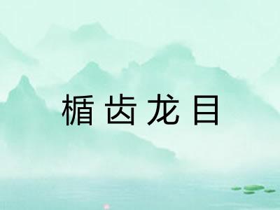 楯齿龙目