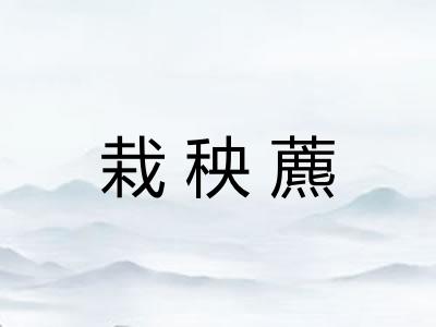 栽秧藨