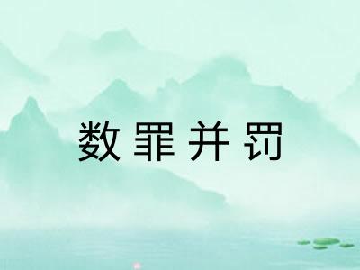 数罪并罚