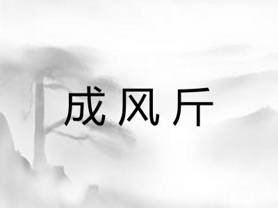 成风斤