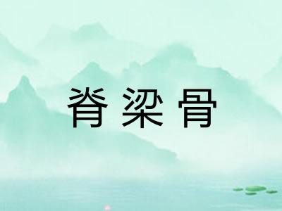脊梁骨