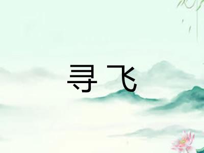 寻飞