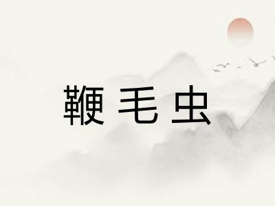 鞭毛虫