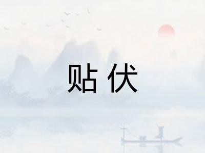 贴伏