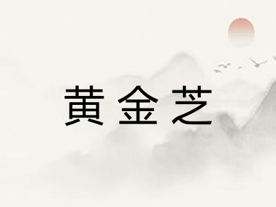 黄金芝