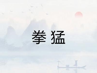 拳猛