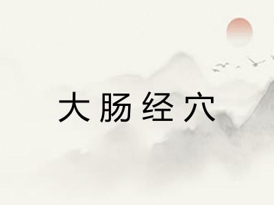 大肠经穴