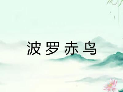 波罗赤鸟