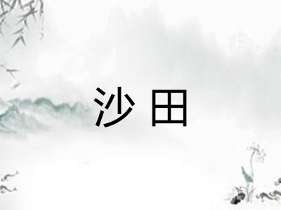 沙田