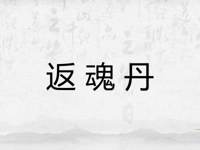 返魂丹