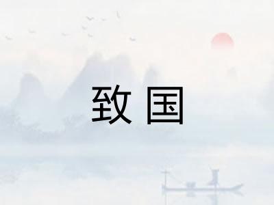致国