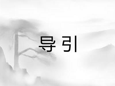 导引