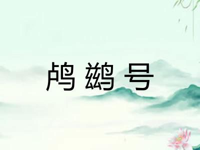 鸬鹚号