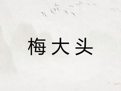 梅大头