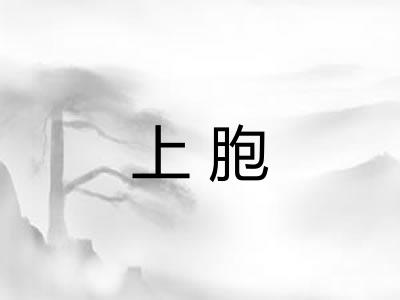 上胞