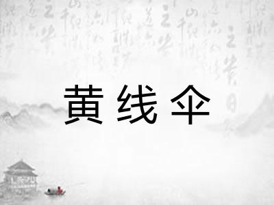 黄线伞
