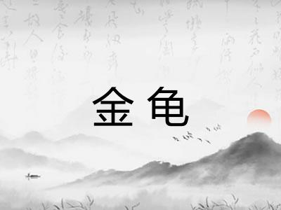 金龟