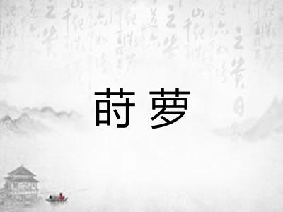 莳萝